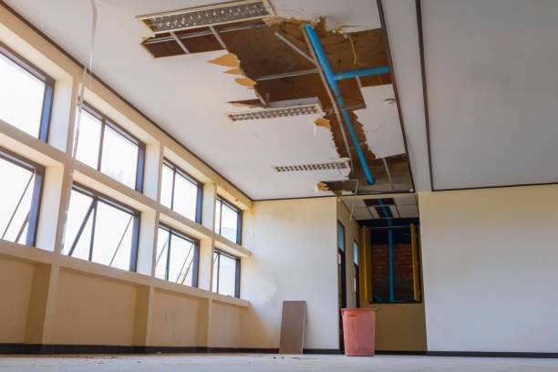 Best Flood restoration services  in Watervliet, MI