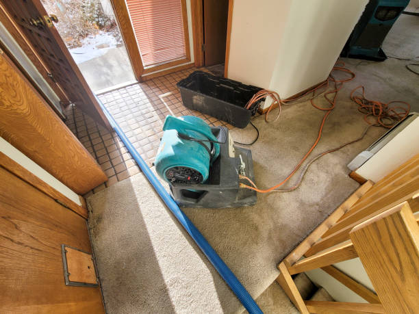 Best Water damage contractors near me  in Watervliet, MI