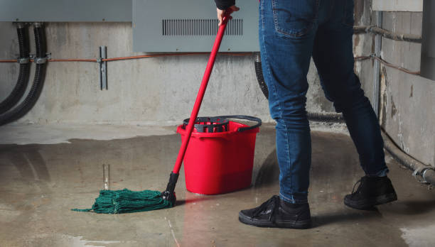 Best Mold removal after water damage  in Watervliet, MI