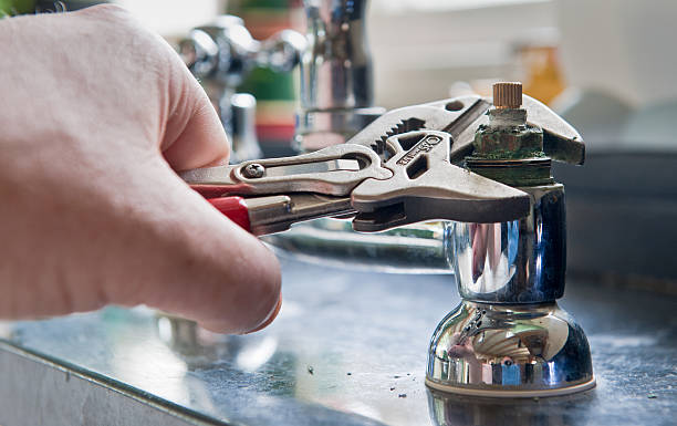 Best Flood restoration services  in Watervliet, MI