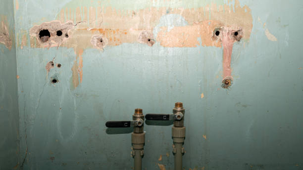 Best Water damage cleanup near me  in Watervliet, MI