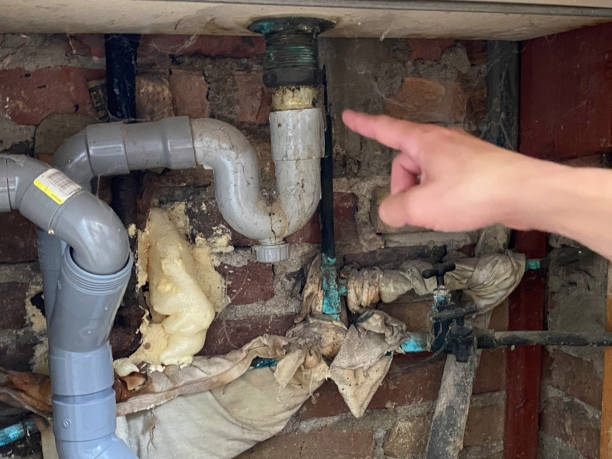 Best Ceiling water damage repair  in Watervliet, MI